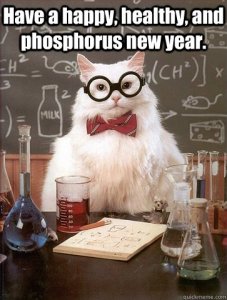 chemistry-cat-happy-new-year-funny-cat-meme
